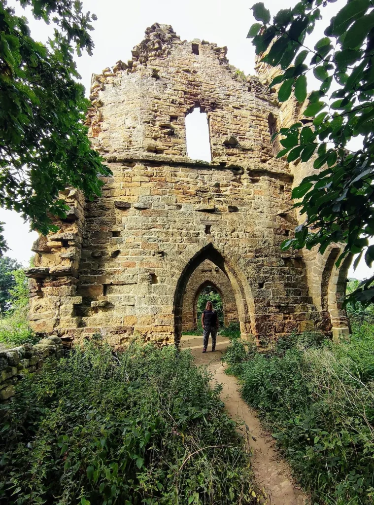 Пам'ятки у лісі / фото Laura T