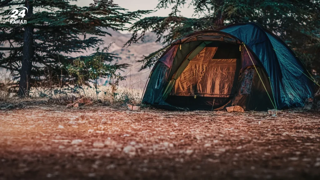 Лісове кемпінгування / фото Canva
