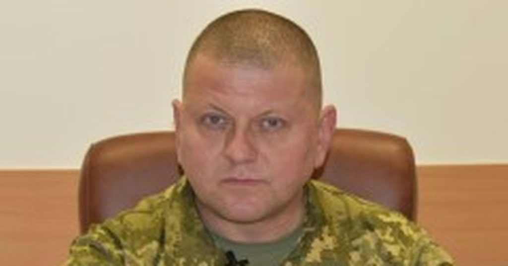 Валерий Залужный Родители Национальность: подробный обзор биографии и личной жизни
