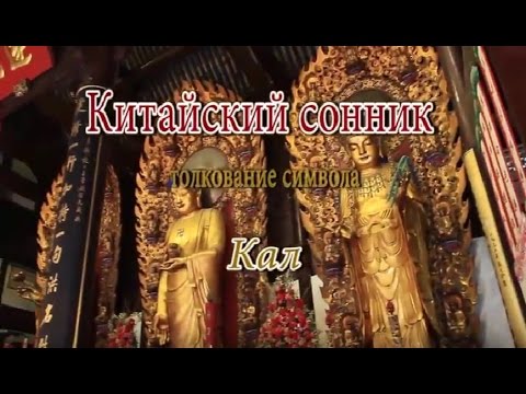 К Чему Снится Кал Женщине: Толкование и Значение Сновидения