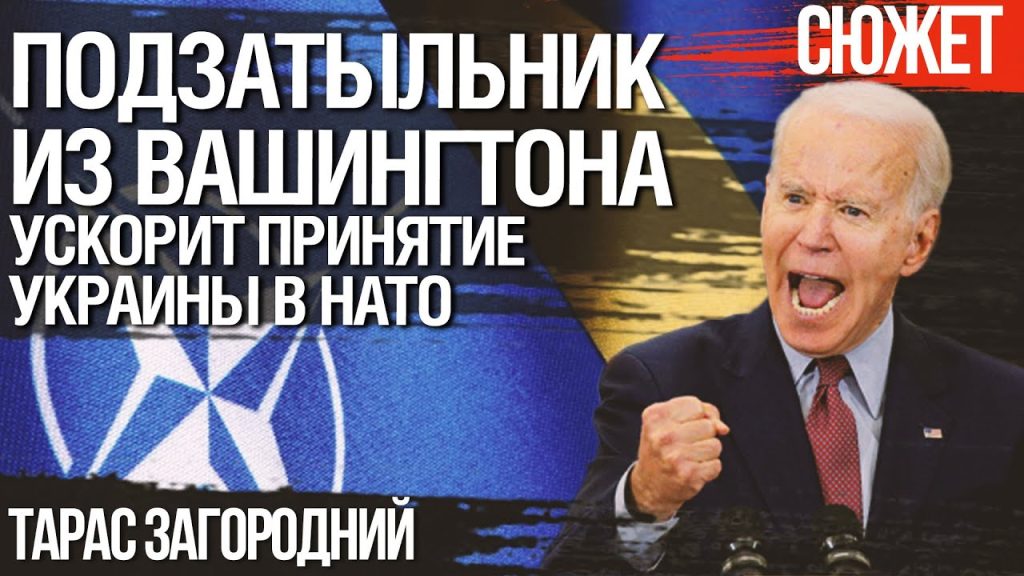 Тарас Загородний Национальность: подробный обзор биографии и карьеры