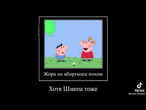 Шмепа Дочь Нардепа: биография, личная жизнь и карьера