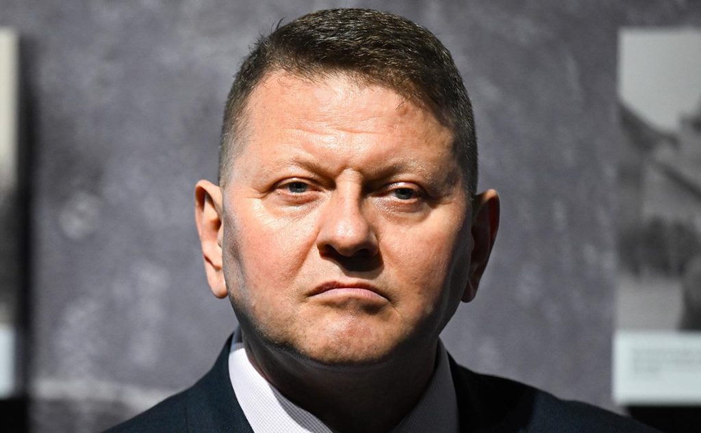 Валерий Залужный Родители Национальность: Биография, Личная Жизнь и Карьера