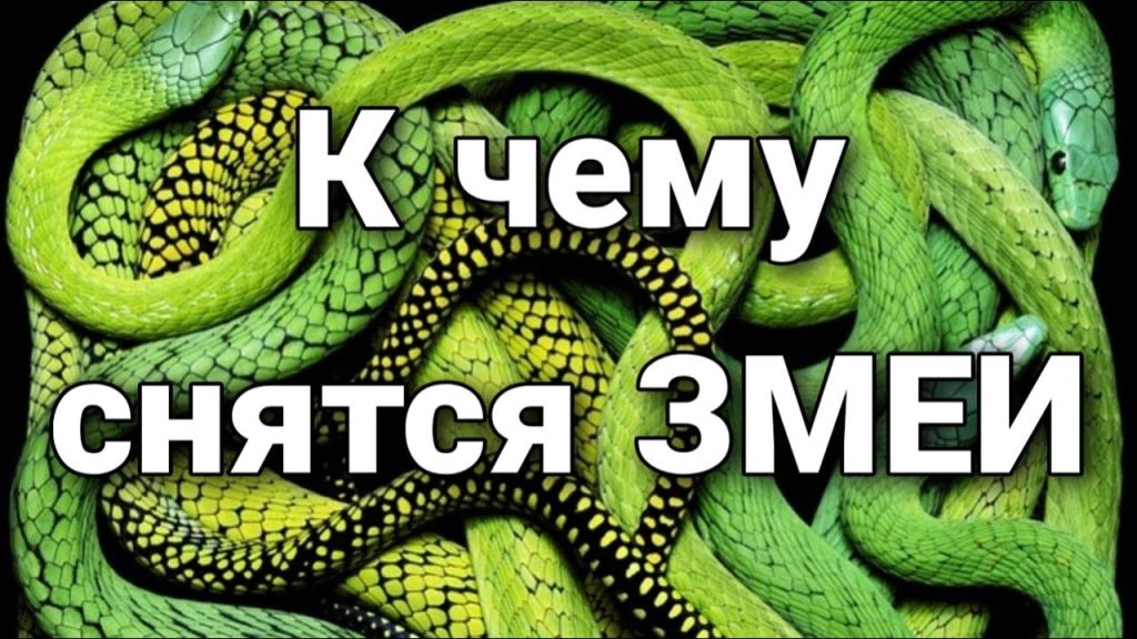 К Чему Снится Змея: Толкования, Символика и Значение Сновидения
