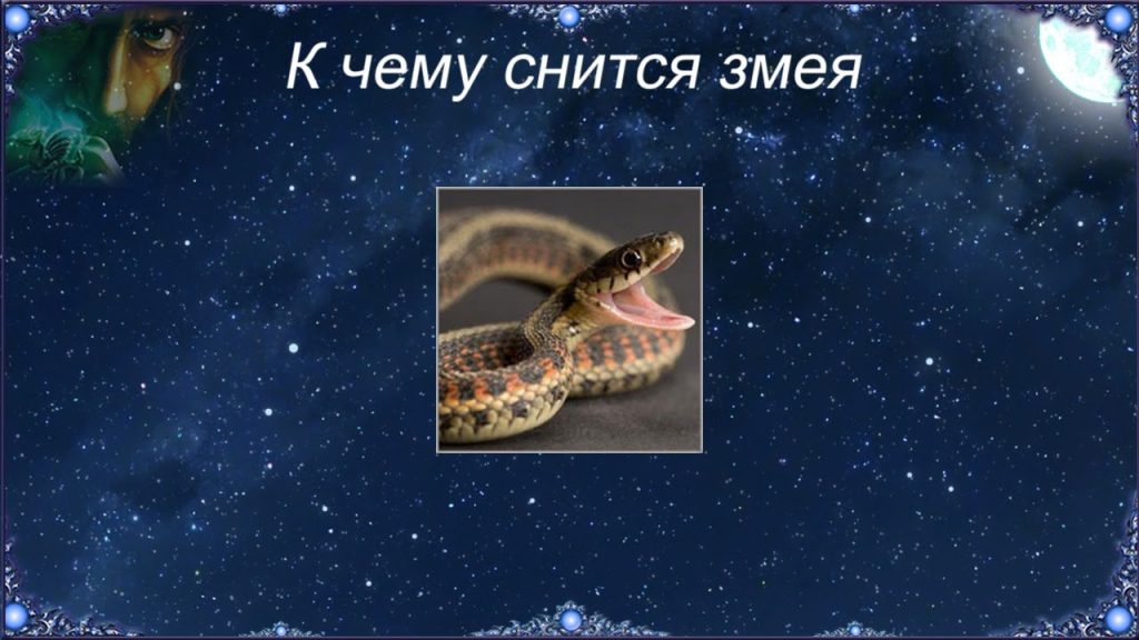 К Чему Снится Змея: Толкования, Символика и Значение Сновидения