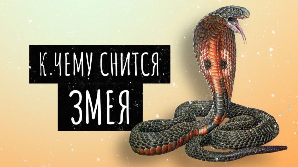 К Чему Снится Змея: Толкования, Символика и Значение Сновидения