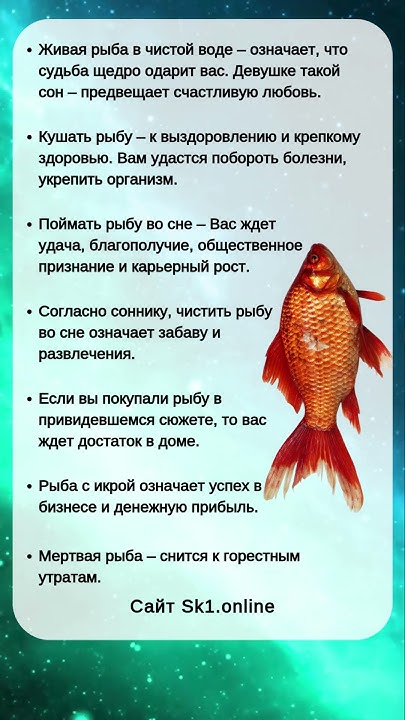 К Чему Снится Рыба: значение и толкование сна
