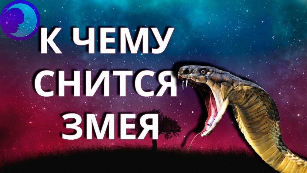 К Чему Снится Змея: Толкования, Символика и Значение Сновидения