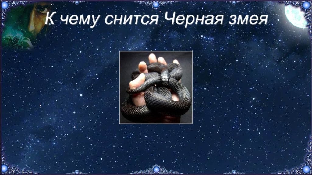К Чему Снится Змея: Толкования, Символика и Значение Сновидения
