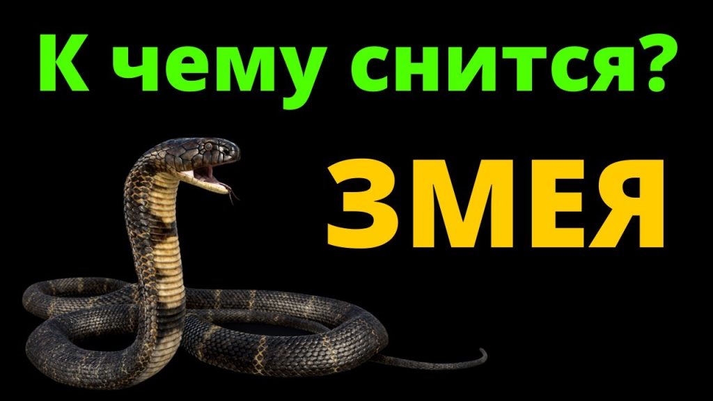 К Чему Снится Змея: Толкования, Символика и Значение Сновидения