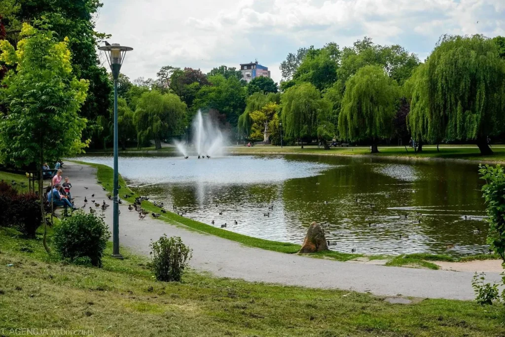 Міський парк / фото Agencja Wyborcza.pl