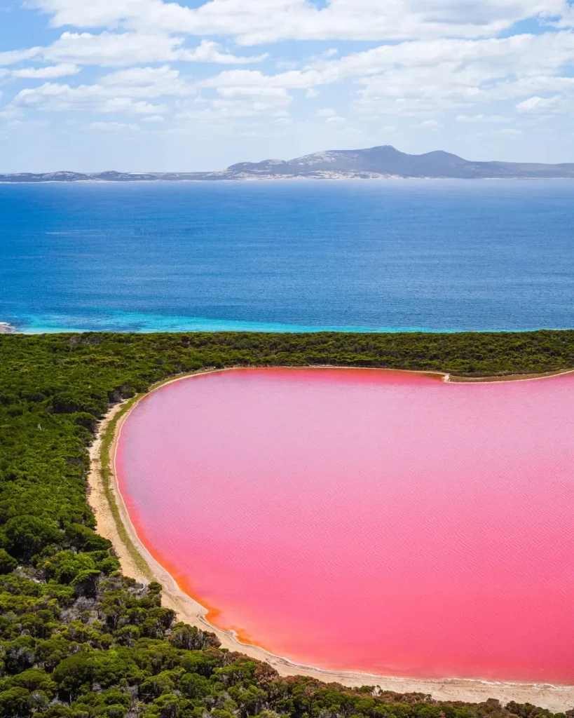 Рожеве озеро Гіллер / фото Australia's Golden Outback