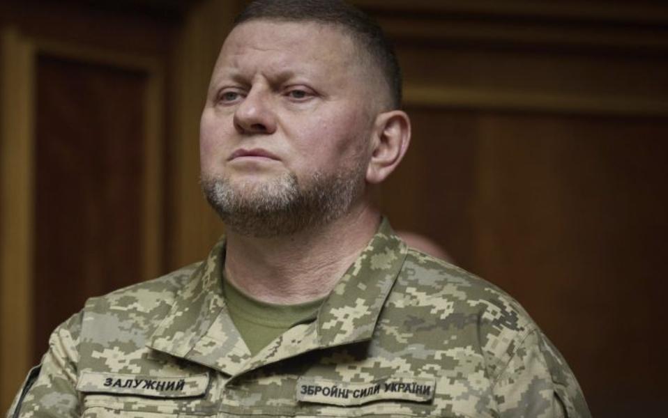 Перша Дружина Залужного: биография, личная жизнь и карьера