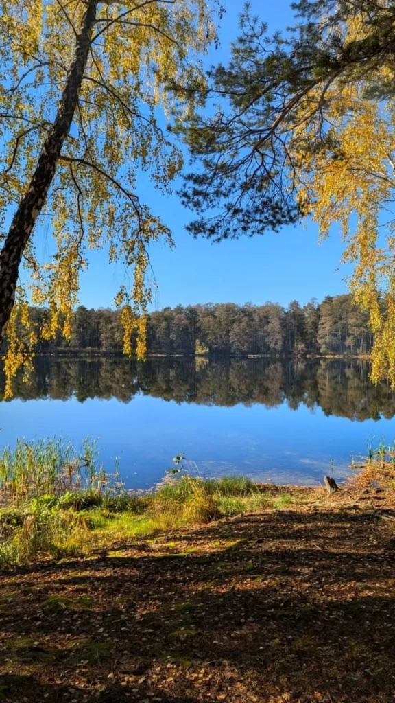 Краєвиди озера  / фото Funtime