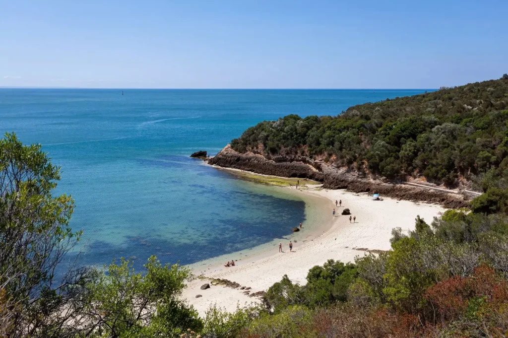 Пляж Praia dos Galapinhos у Португалії