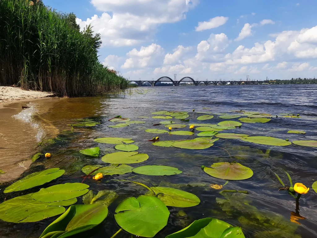 Річка Дніпро / фото Володимира Тертишника
